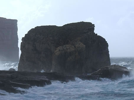 Dsc_2988(1)