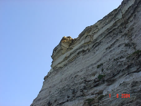 Picture 023