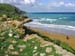 Ramla Bay - Jan 2005 (51)