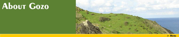 About Gozo