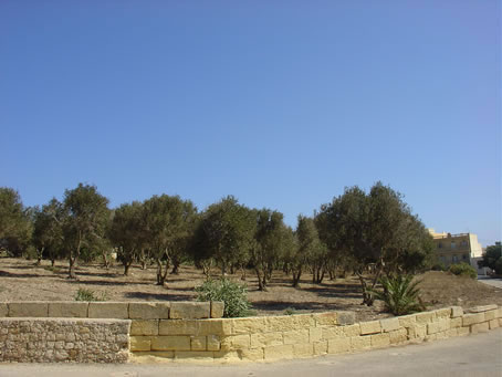 Copy of Copy of Picture 082