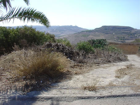 Copy of Copy of Picture 084