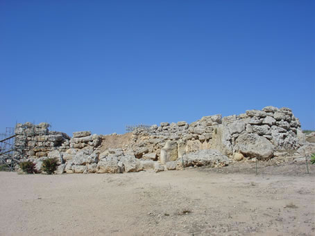 Copy of Picture 093