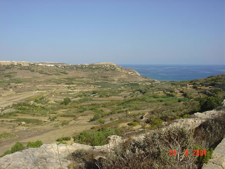 DSC04153