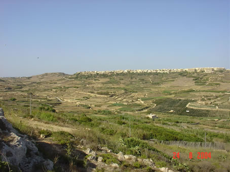 DSC04154