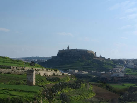 Dsc_3245(1)
