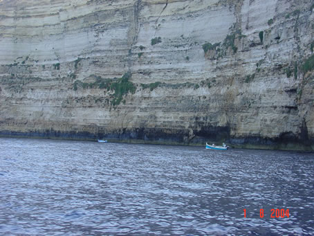 Picture 013