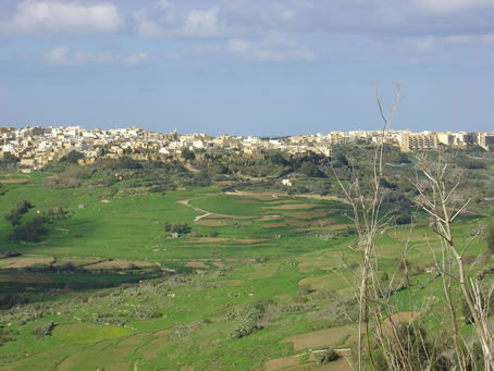 Xaghra Views - Jan 05 (11)