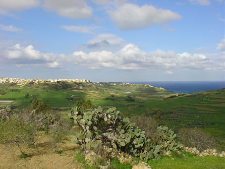 Xaghra Views - Jan 05 (14)