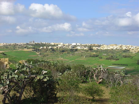 Xaghra Views - Jan 05 (15)