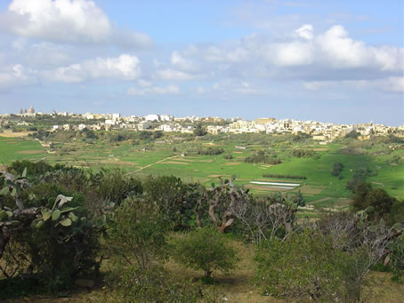 Xaghra Views - Jan 05 (16)
