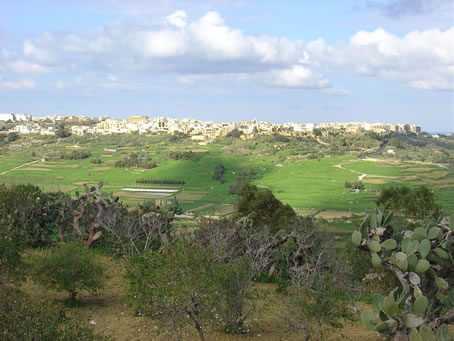 Xaghra Views - Jan 05 (17)