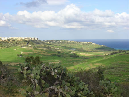 Xaghra Views - Jan 05 (18)