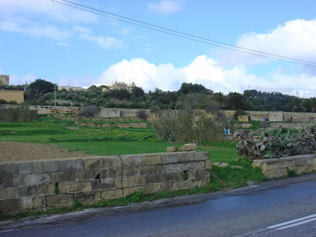 Xaghra Views - Jan 05 (24)
