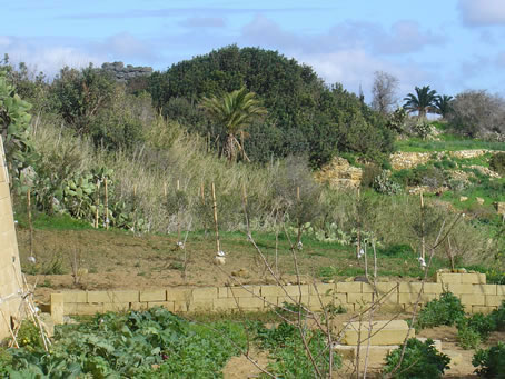 Xaghra Views - Jan 05 (26)